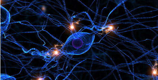 Neuronal assays