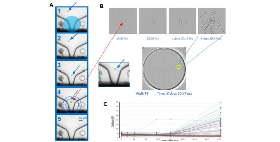 Cell line development and assurance of monoclonality