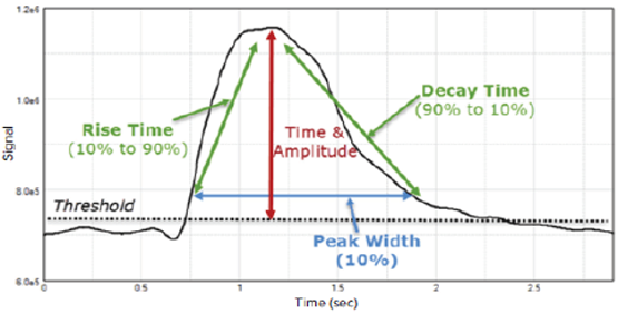 Neuronal Calcium Flux