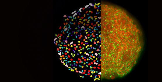 Improve sensitivity, speed, and assay quality for complex biological assays