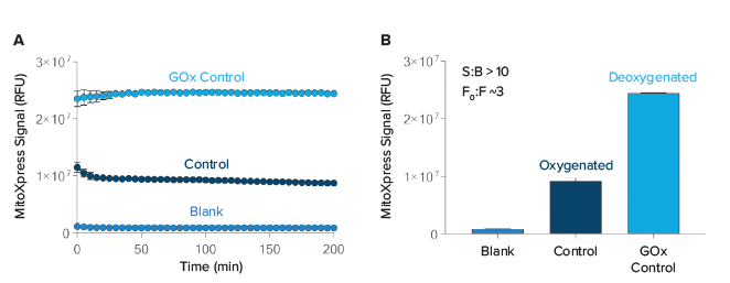 Measure oxidative metabolism and glycolytic activity