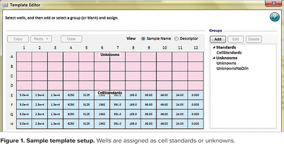 Measuring cell proliferation using the CyQUANT Kit