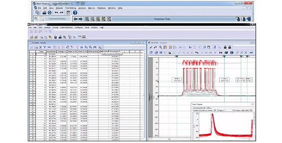 Action Potential Analysis