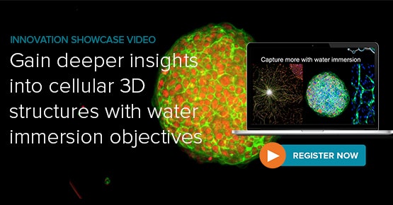 Gain deeper insights into cellular 3D structures