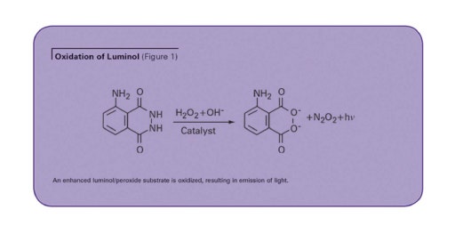 Chemiluminescent VEGF ELISA