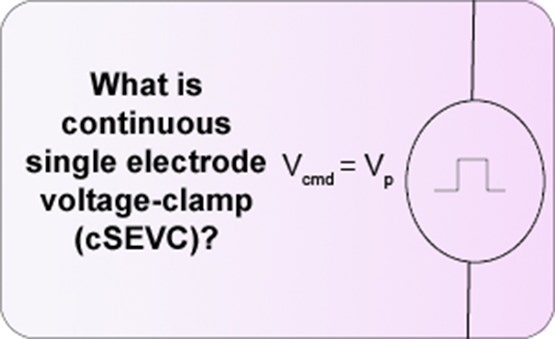 continuous single-electrode voltage clamp (cSEVC)