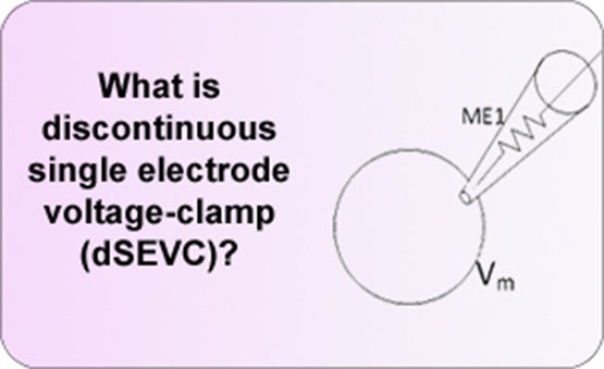 discontinuous single-electrode voltage clamp (dSEVC)