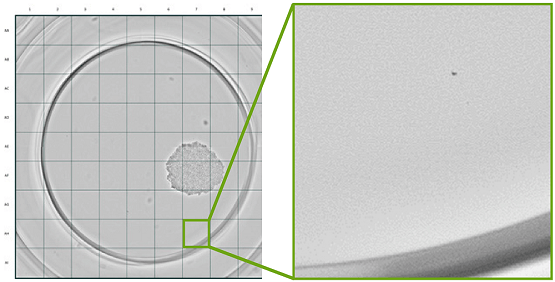 Cloneselect imager monoclonality report feature