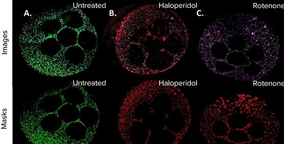 3D printed liver models using a multi-tool robotic device with liquid handling