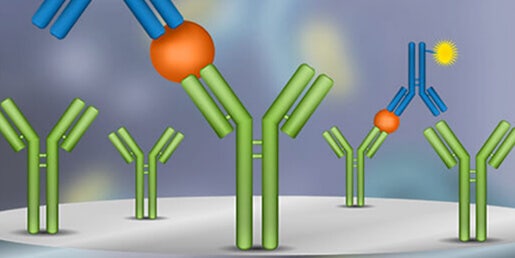 ELISA / Immunoassays (Quantifying antigens, antibodies, cytokines...)