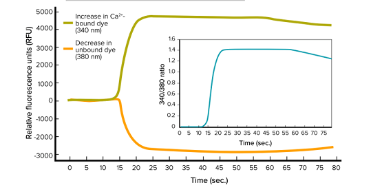 Fura-2 QBT calcium