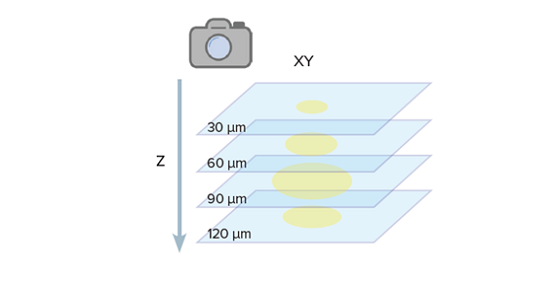 Simplify screening and selection of mammalian cell lines