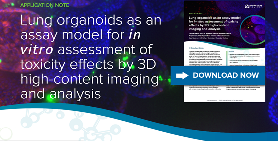 Monitor lung organoids using 3D high content imaging