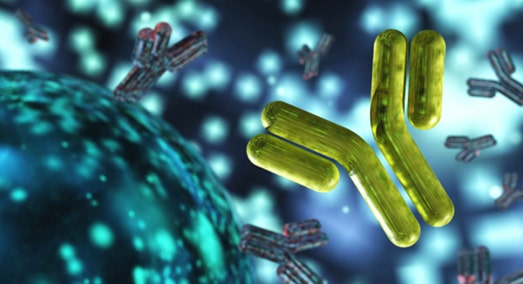 Immunoglobulin G (IgG) Quantification