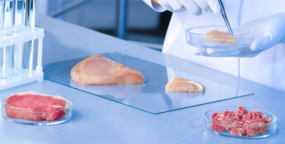 Cell Cultured Meat