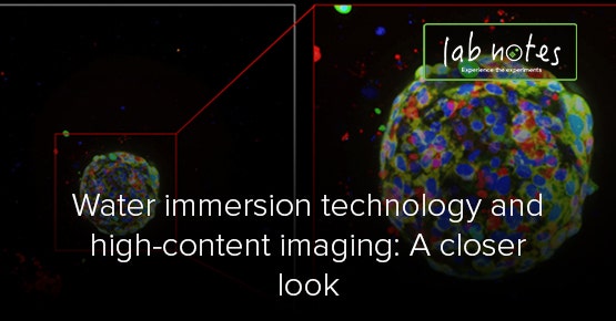 Water immersion technology and high-content imaging: A closer look