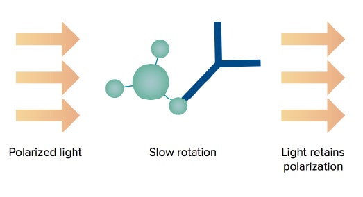 ValitaTITER assay