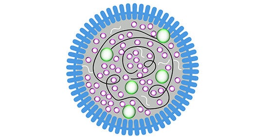 Mycoplasma Monitoring