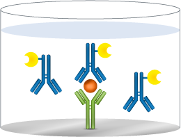 add detection antibody mobile