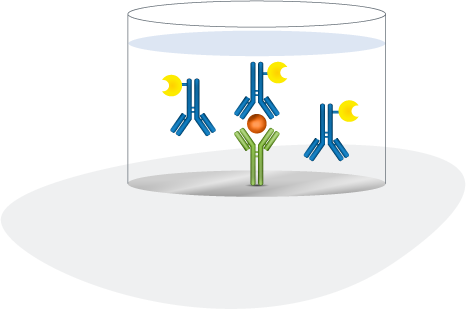 add detection antibody