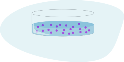 Plate Cells