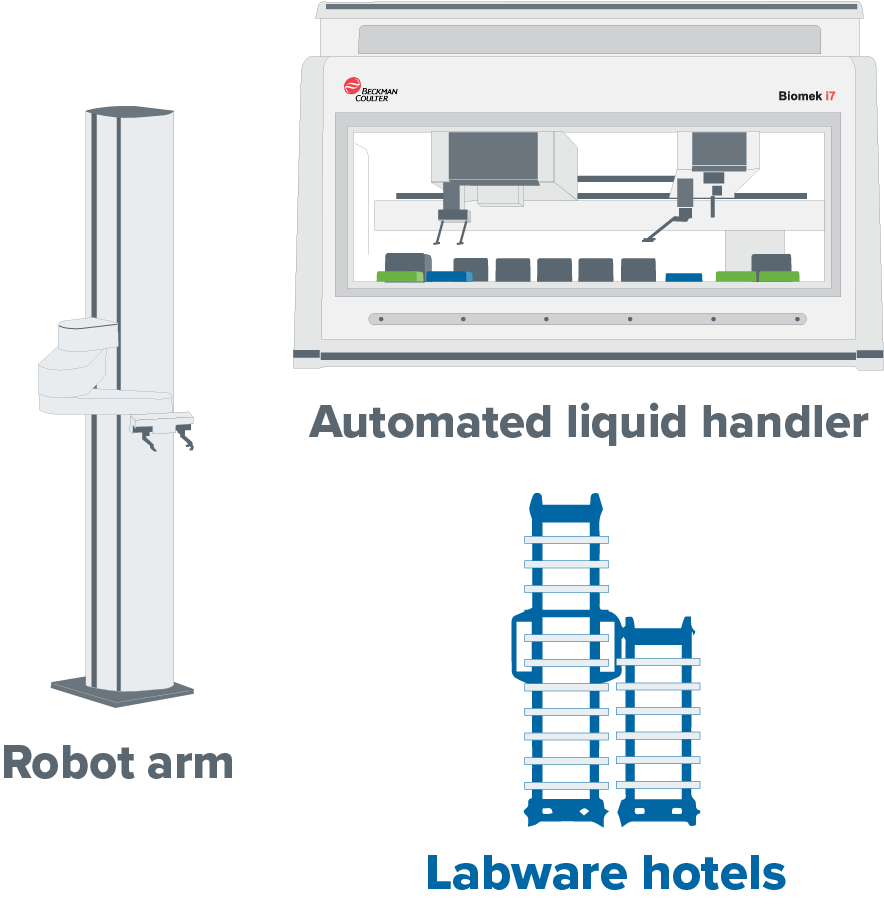 Assembly workflow