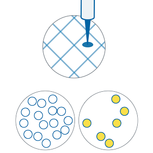 Colony Plating & Screening