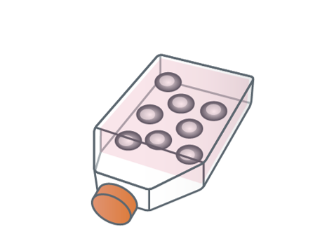 Myeloma Cell Preparation