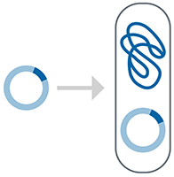 Transform workflow