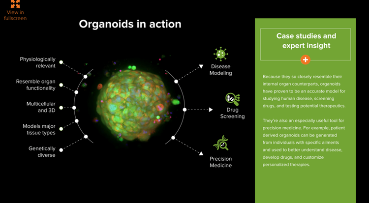 organoid use cases