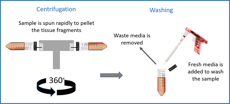 Sample is spun rapidly to pellet the tissue fragments