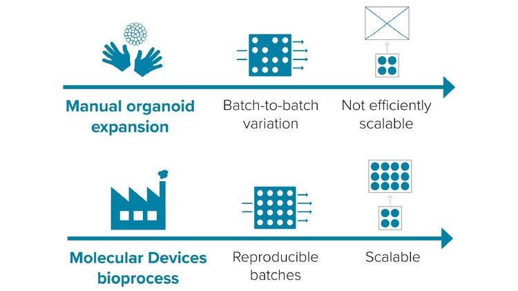 Molecular Devices leadership in the scale-up and industrial manufacturing