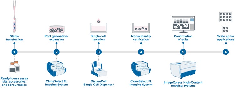 CRISPR research and application