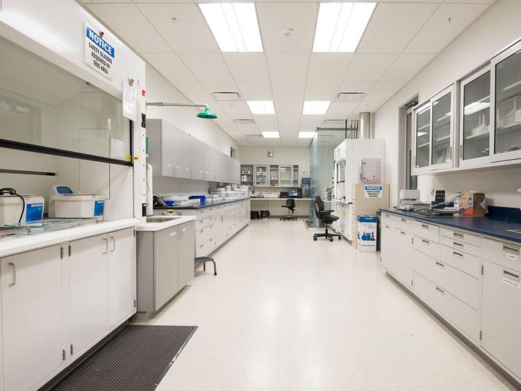 Molecular Devices office inside View