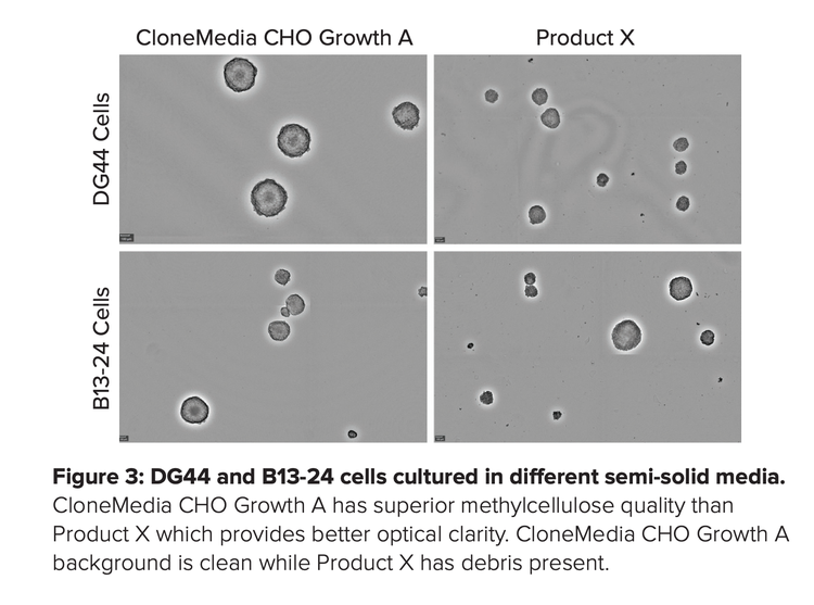 CHO Growth A media portfolio provides a fast, simple and comprehensive solution for CHO cell-line development