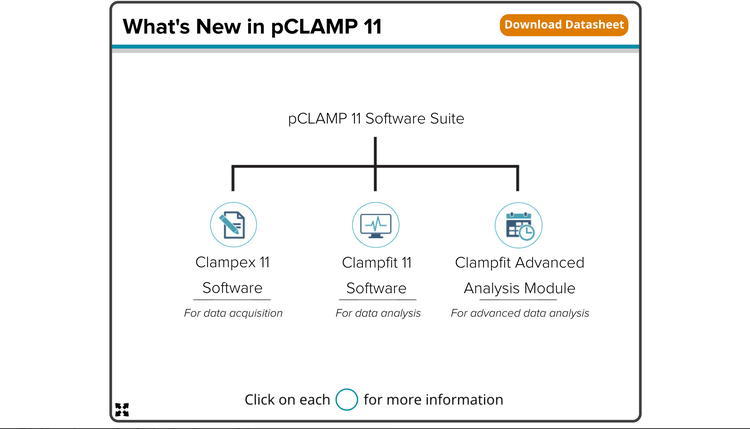 New pClamp 11