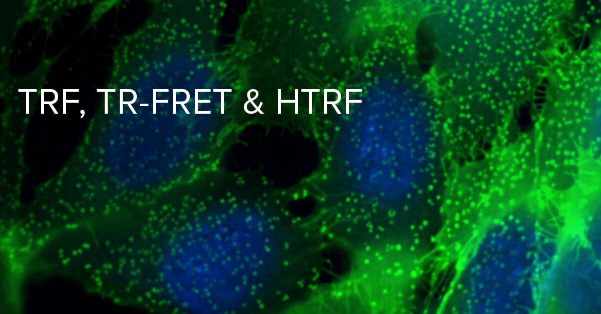 Time-Resolved Fluorescence TRF / TR-FRET (HTRF)